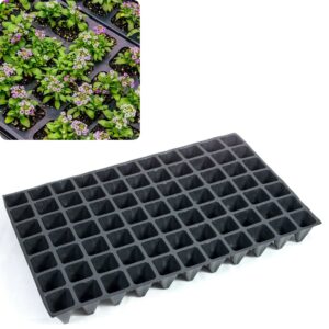 Касета для розсади 60*40 см 77 комірки