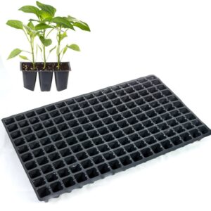 Касета для розсади 60*40 см 160 комірки