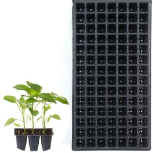 Касета для розсади 54*28 см 98 комірки